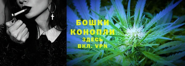 PSILOCYBIN Армянск
