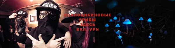 стафф Арсеньев