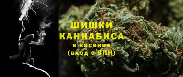 PSILOCYBIN Армянск