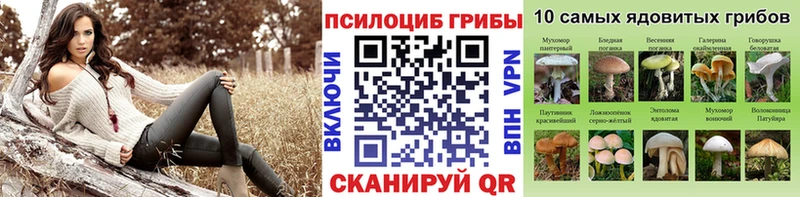 KRAKEN ссылки  Лукоянов  Псилоцибиновые грибы MAGIC MUSHROOMS 